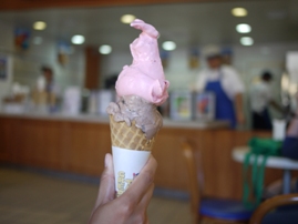Stricklands Ice Cream